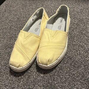 Yellow toms